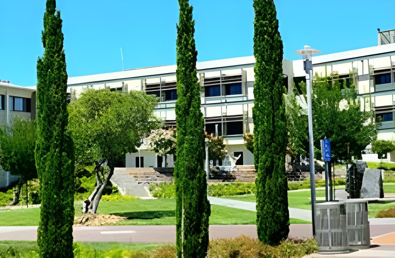 肯尼亚达学院