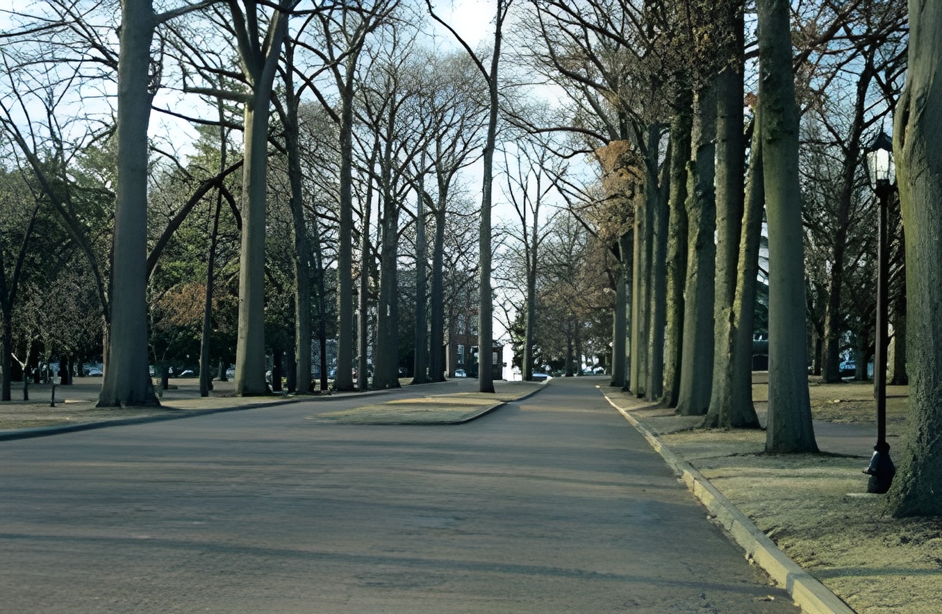 林登沃德大学