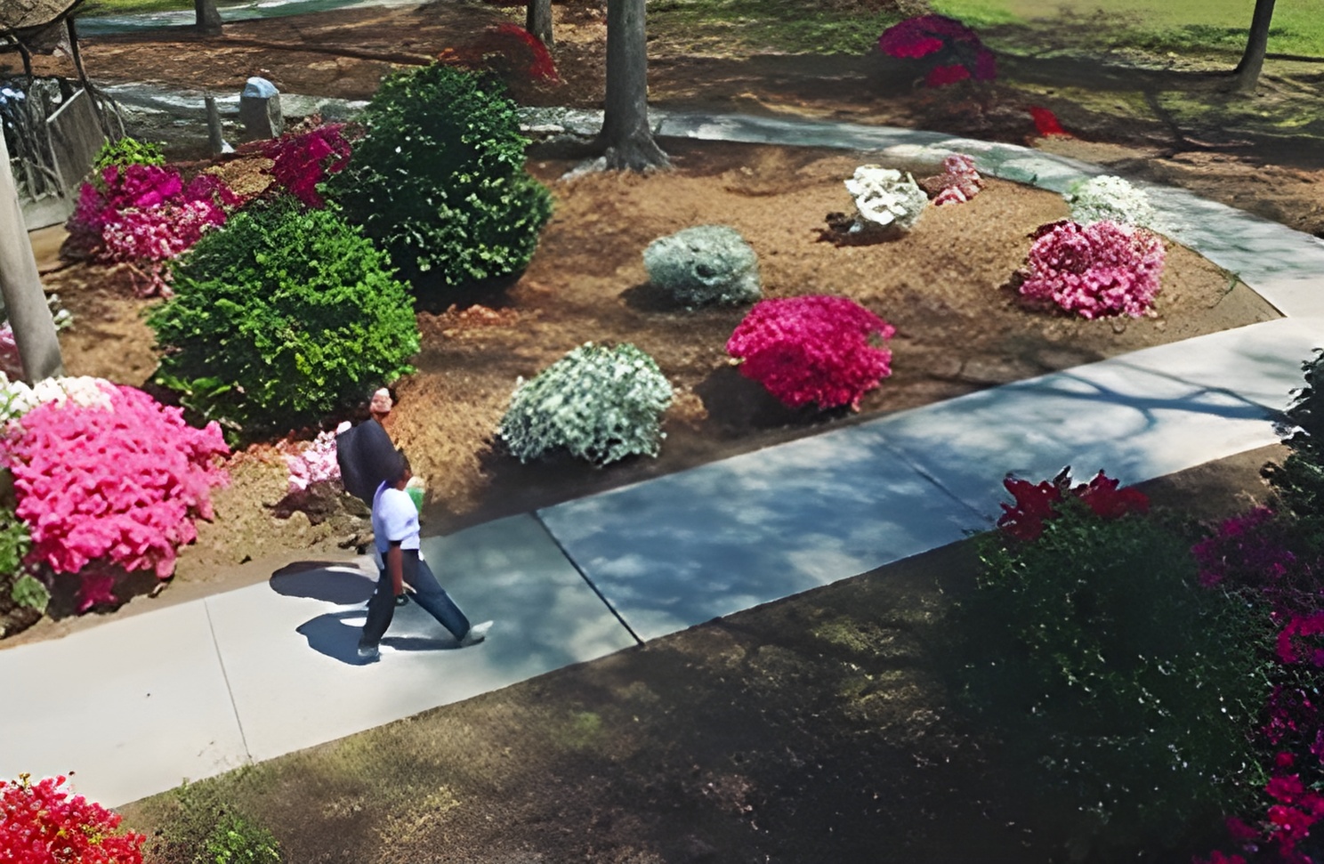 布莱登社区学院