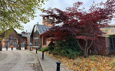 英国留学读硕士管理专业怎么样