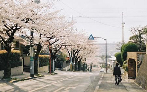 持有日本留学签证福利有哪些