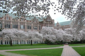 我们见过很多学校的申请攻略，美国艺术大学的你看明白了吗？