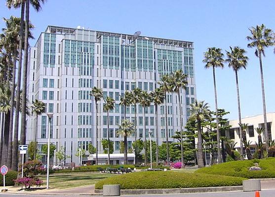 日本艺术类大学优秀院校有多少所？