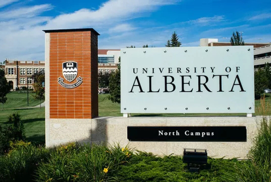 阿尔伯塔大学世界排名第几位？