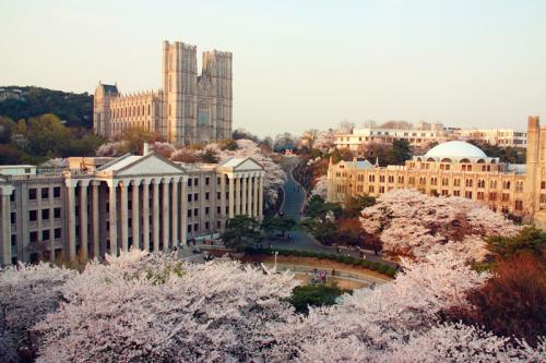 韩国艺术类大学世界排名你知道吗？