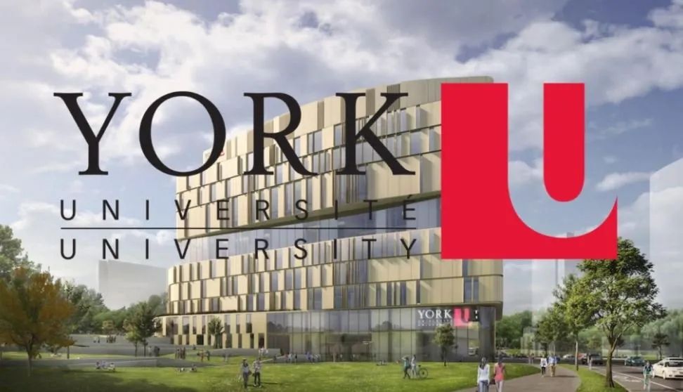 2022年英国约克大学在英国的排名是多少名？