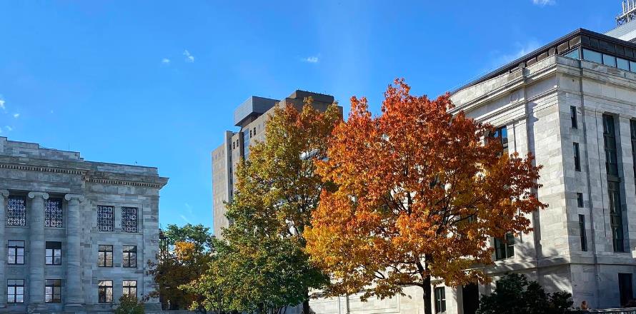 圣马丁大学收费情况及申请指南