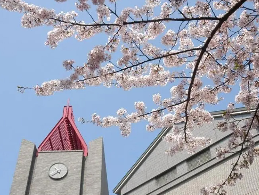 早稻田大学有哪些专业排名情况怎么样