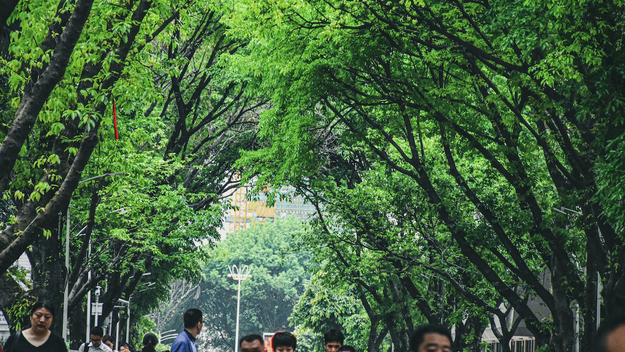 布鲁克林音乐学院夏季音乐节