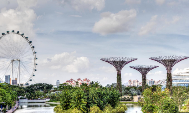 新加坡大学留学条件申请步骤