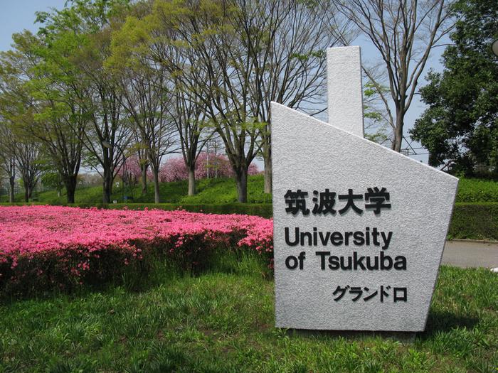 筑波大学学费及申请条件汇总