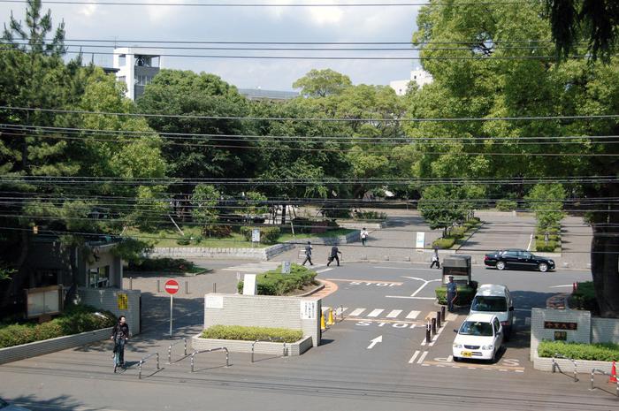 留学费用大揭秘：日本千叶大学学费多少钱